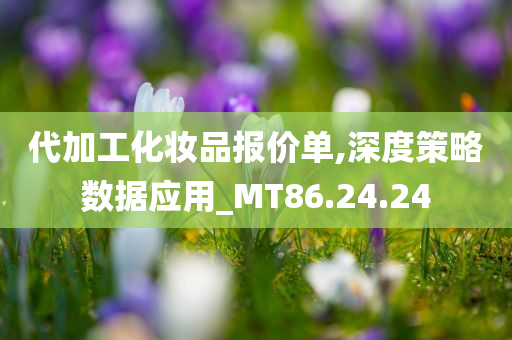 代加工化妆品报价单,深度策略数据应用_MT86.24.24