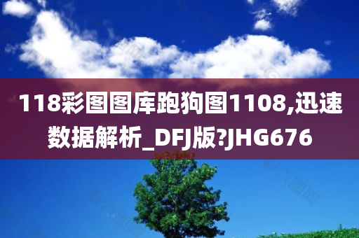 118彩图图库跑狗图1108,迅速数据解析_DFJ版?JHG676