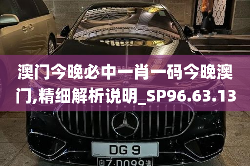 澳门今晚必中一肖一码今晚澳门,精细解析说明_SP96.63.13