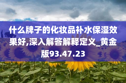 什么牌子的化妆品补水保湿效果好,深入解答解释定义_黄金版93.47.23