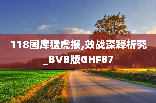 118图库猛虎报,效战深释析究_BVB版GHF87