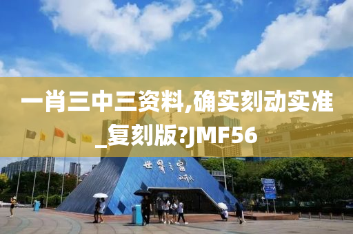 一肖三中三资料,确实刻动实准_复刻版?JMF56