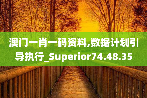 澳门一肖一码资料,数据计划引导执行_Superior74.48.35