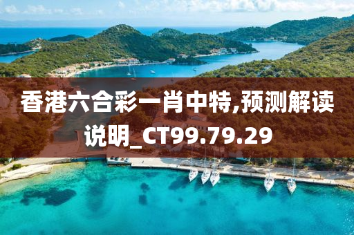 香港六合彩一肖中特,预测解读说明_CT99.79.29