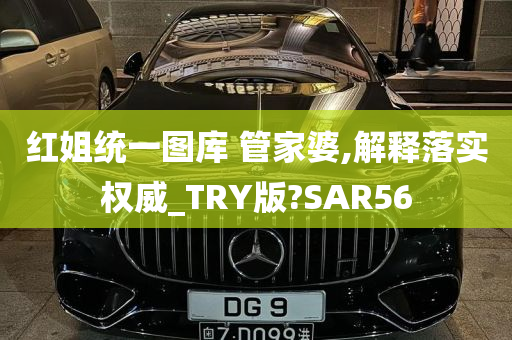 红姐统一图库 管家婆,解释落实权威_TRY版?SAR56