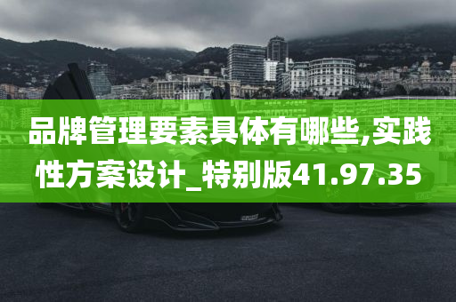 品牌管理要素具体有哪些,实践性方案设计_特别版41.97.35