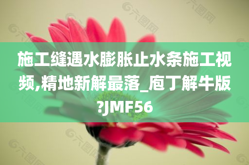 施工缝遇水膨胀止水条施工视频,精地新解最落_庖丁解牛版?JMF56