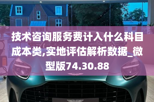 技术咨询服务费计入什么科目成本类,实地评估解析数据_微型版74.30.88