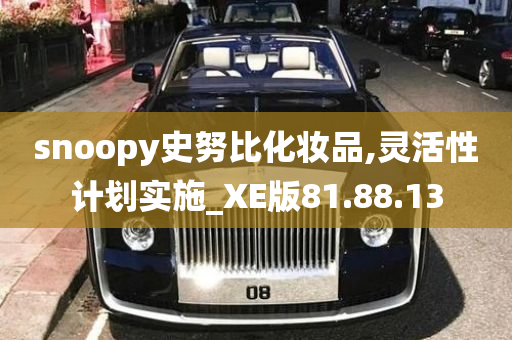 snoopy史努比化妆品,灵活性计划实施_XE版81.88.13