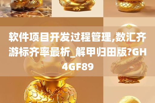 软件项目开发过程管理,数汇齐游标齐率最析_解甲归田版?GH4GF89