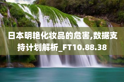 日本明艳化妆品的危害,数据支持计划解析_FT10.88.38