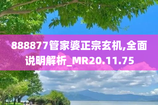 888877管家婆正宗玄机,全面说明解析_MR20.11.75