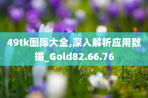 49tk图库大全,深入解析应用数据_Gold82.66.76