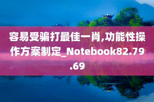 容易受骗打最佳一肖,功能性操作方案制定_Notebook82.79.69