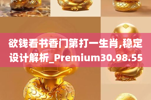 欲钱看书香门第打一生肖,稳定设计解析_Premium30.98.55