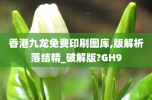 香港九龙免费印刷图库,版解析落结精_破解版?GH9