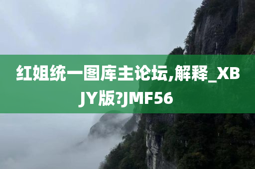 红姐统一图库主论坛,解释_XBJY版?JMF56