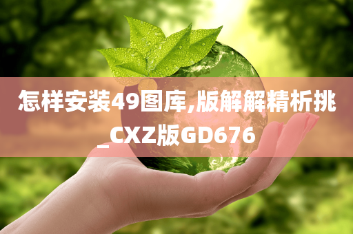 怎样安装49图库,版解解精析挑_CXZ版GD676