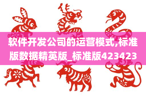 软件开发公司的运营模式,标准版数据精英版_标准版423423