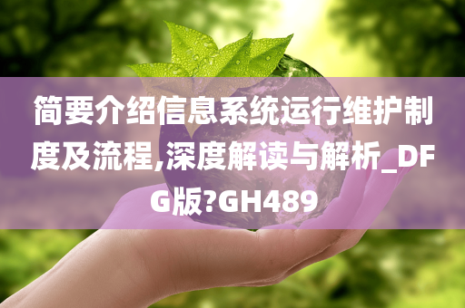 简要介绍信息系统运行维护制度及流程,深度解读与解析_DFG版?GH489