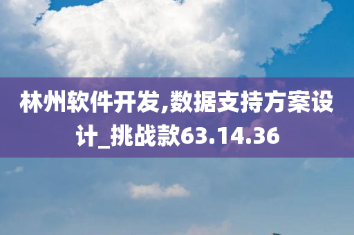 林州软件开发,数据支持方案设计_挑战款63.14.36