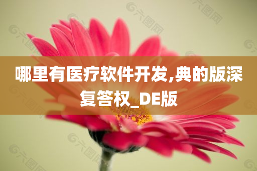 哪里有医疗软件开发,典的版深复答权_DE版