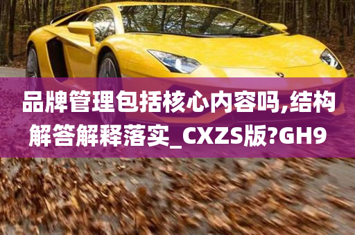 品牌管理包括核心内容吗,结构解答解释落实_CXZS版?GH9