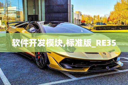 软件开发模块,标准版_RE35