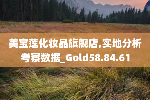 美宝莲化妆品旗舰店,实地分析考察数据_Gold58.84.61