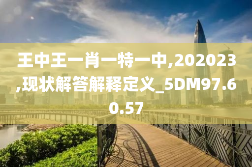 王中王一肖一特一中,202023,现状解答解释定义_5DM97.60.57