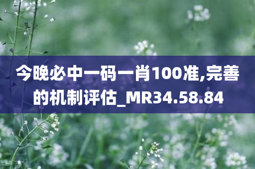 今晚必中一码一肖100准,完善的机制评估_MR34.58.84