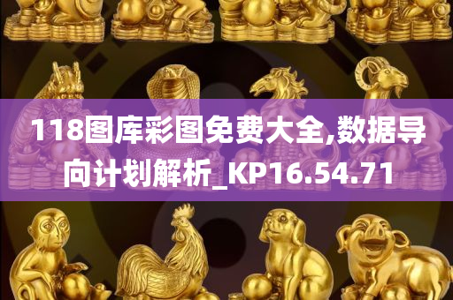 118图库彩图免费大全,数据导向计划解析_KP16.54.71