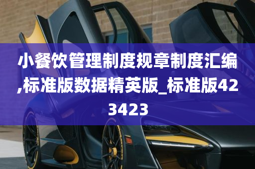 小餐饮管理制度规章制度汇编,标准版数据精英版_标准版423423