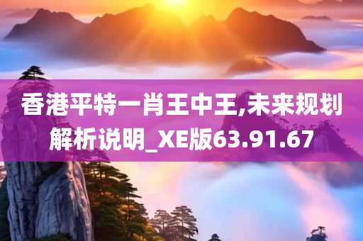 香港平特一肖王中王,未来规划解析说明_XE版63.91.67