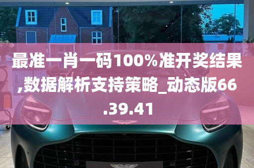 最准一肖一码100%准开奖结果,数据解析支持策略_动态版66.39.41