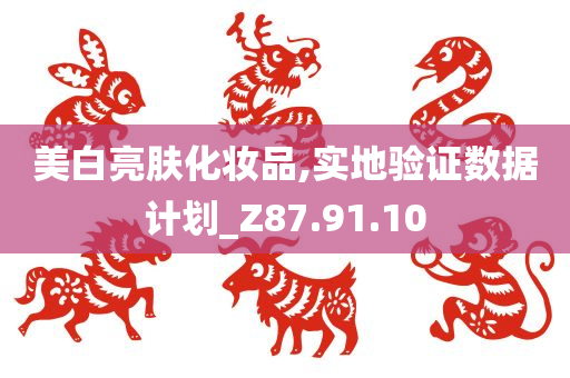 美白亮肤化妆品,实地验证数据计划_Z87.91.10