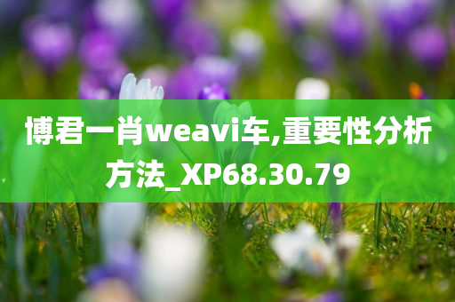 博君一肖weavi车,重要性分析方法_XP68.30.79