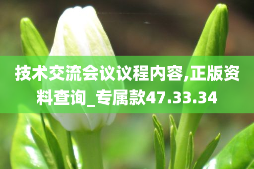 技术交流会议议程内容,正版资料查询_专属款47.33.34