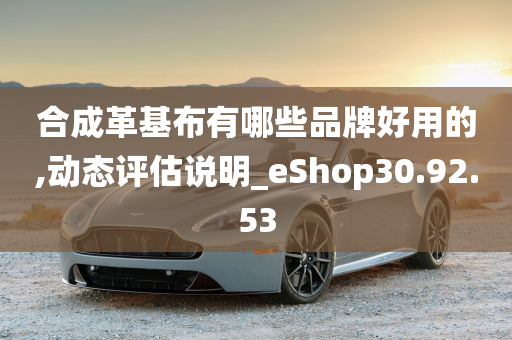 合成革基布有哪些品牌好用的,动态评估说明_eShop30.92.53