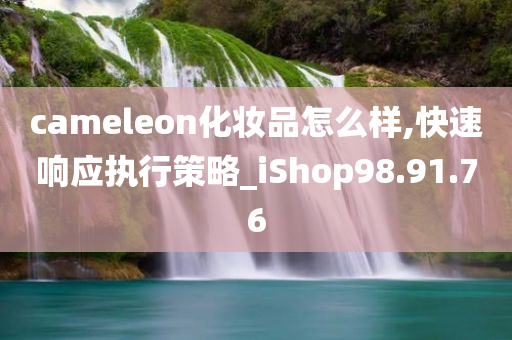 cameleon化妆品怎么样,快速响应执行策略_iShop98.91.76