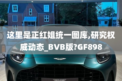 这里是正红姐统一图库,研究权威动态_BVB版?GF898