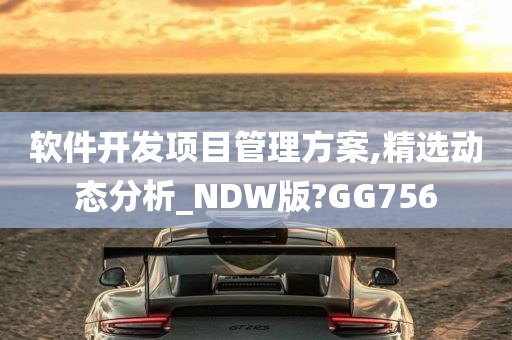 软件开发项目管理方案,精选动态分析_NDW版?GG756