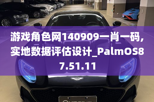 游戏角色网140909一肖一码,实地数据评估设计_PalmOS87.51.11