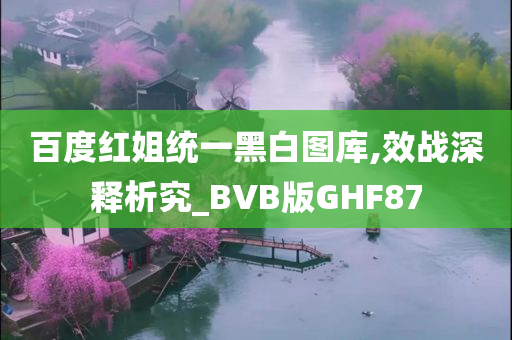 百度红姐统一黑白图库,效战深释析究_BVB版GHF87