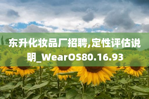 东升化妆品厂招聘,定性评估说明_WearOS80.16.93