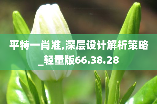 平特一肖准,深层设计解析策略_轻量版66.38.28