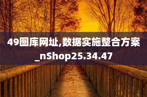 49图库网址,数据实施整合方案_nShop25.34.47