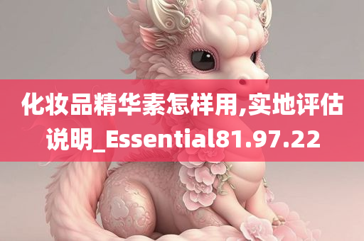 化妆品精华素怎样用,实地评估说明_Essential81.97.22