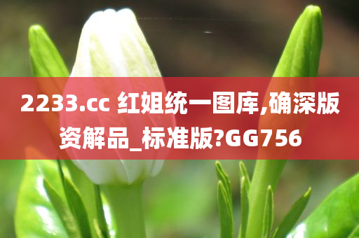 2233.cc 红姐统一图库,确深版资解品_标准版?GG756