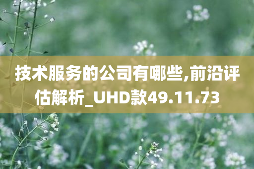 技术服务的公司有哪些,前沿评估解析_UHD款49.11.73